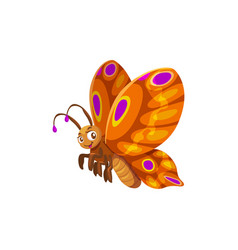 Cartoon Butterfly Character Wild Insect