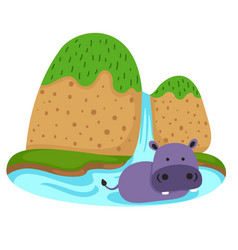 Hippo In Waterfall Scene