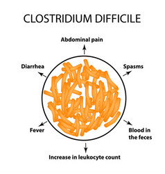 Clostridium Difficile Pathogenic Flora