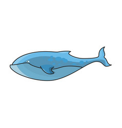 Blue Whale Iconcolor Icon Isolated