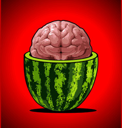 Watermelon Fills The Human Brain