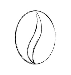 Sketch Draw Coffee Bean Cartoon Vector Image Sketch Draw Coffee Bean Cartoon Vector Image