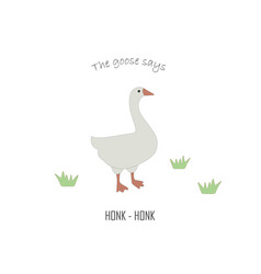 Goose Flat Educational Card