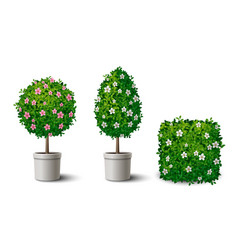 Realistic Green Shrubs