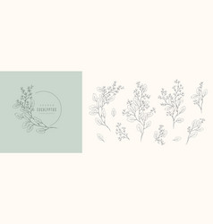 Seeded Eucalyptus Logo And Floral Branch Hand