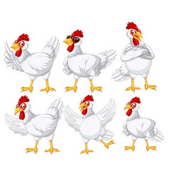 Set Of Different Farm Chickens In Cartoon Style