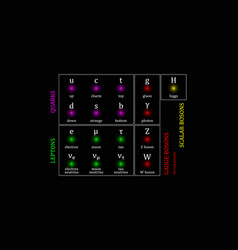 Elementary Particle