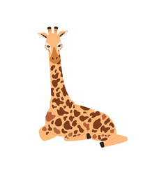 Sitting Giraffe Cartoon Character Flat