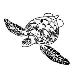 Turtle Black and White Clip Art Vector Images (over 280)