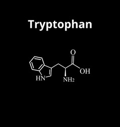 Tryptophan Amino Acid Chemical Molecular Formula