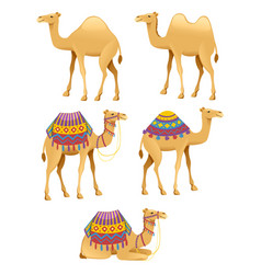 Set Of Cute Two Hump And One Hump Camels