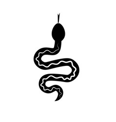 Snake Icon