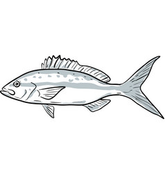 Yellowtail Snapper Fish Gulf Of Mexico Cartoon