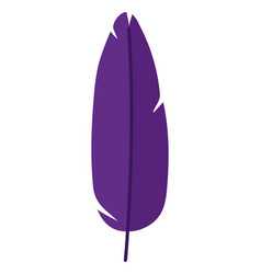 Purple Feather Image