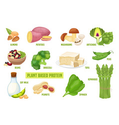 Vegan Sources Of Protein Editable