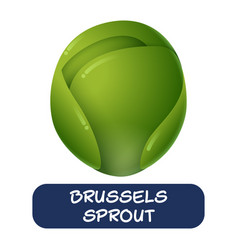 Cartoon Brussel Sprout Vegetables Isolated On