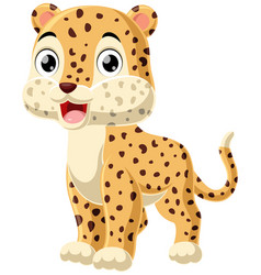 Cute Baby Leopard Cartoon On White Background