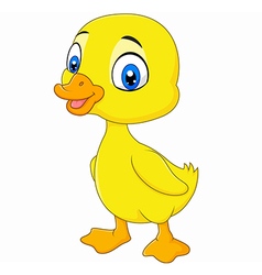 Cute baby duck cartoon thumb up Royalty Free Vector Image