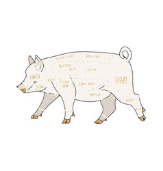 Cute French Farmhouse Pig Butcher Chart