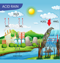 Diagram showing acid rain pathway on white Vector Image