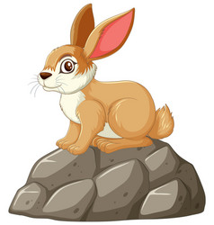 A Brown Rabbit Sitting On Stones