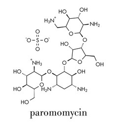 Paromomycin Aminoglycoside Antibiotic Drug