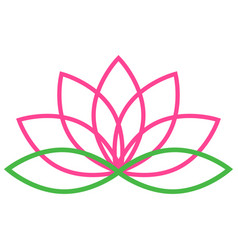 A Pink Lotus Flower With Leaves