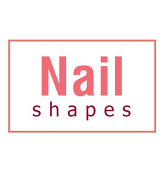 Nail Shapes Text Icon Cartoon Studio