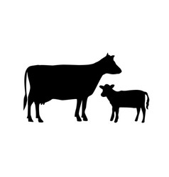 Cow And Calf