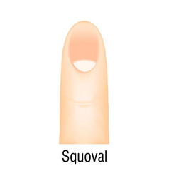 Squoval Nail Manicure Icon Cartoon Polish