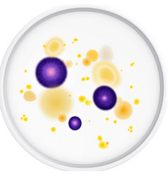 Mold Fungus Bacteria Composition