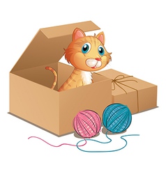 A Cat Inside The Box