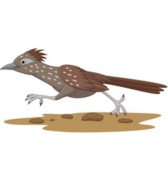 Cartoon Roadrunner Bird Running On Road