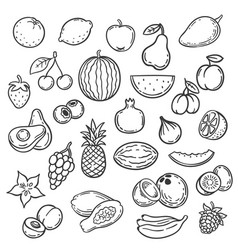 Doodle Fruits Hand Drawn Outline Berry Apricot