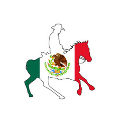 Mexican Flag Cowboy