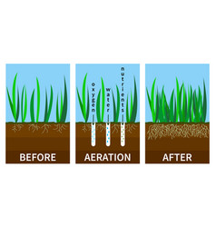 Stages Lawn Aeration