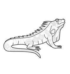 Iguana Clipart Vector Images (over 240)