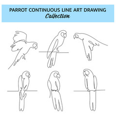 Set Of Parrot Bird One Continuous Line Drawing