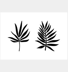 Doodle Palm Leaf Set Icons Isolated Stencil