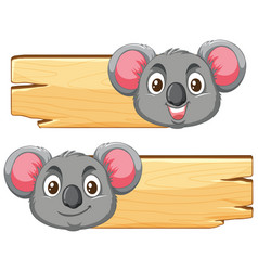 Two Koalas Peeking Over Wooden Signboards