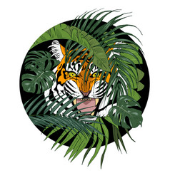 Tiger Baring His Teeth In Jungle Among