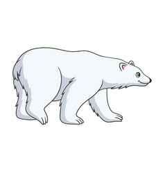 Cartoon Polar Bear Walking On Ice Cubes