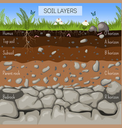 Soil Layers Diagram With Grass Earth Texture