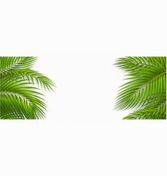 Tropical Frame With Green Palm Leaves