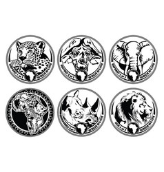 Big Five Collector Coins