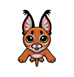 Cute Caracal Cat Cartoon Posing