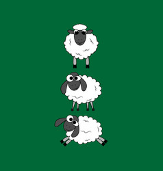 Sheep