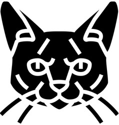 Siamese Cat Cute Pet Glyph Icon