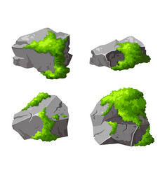 Set Gray Stones With Green Moss Element