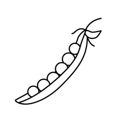 Peas Seed Line Icon